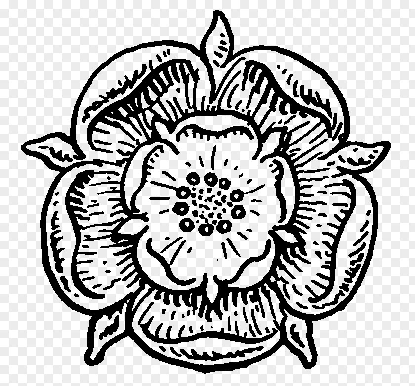 Tudor Rose Line Drawing Medusa Royalty-free Clip Art PNG