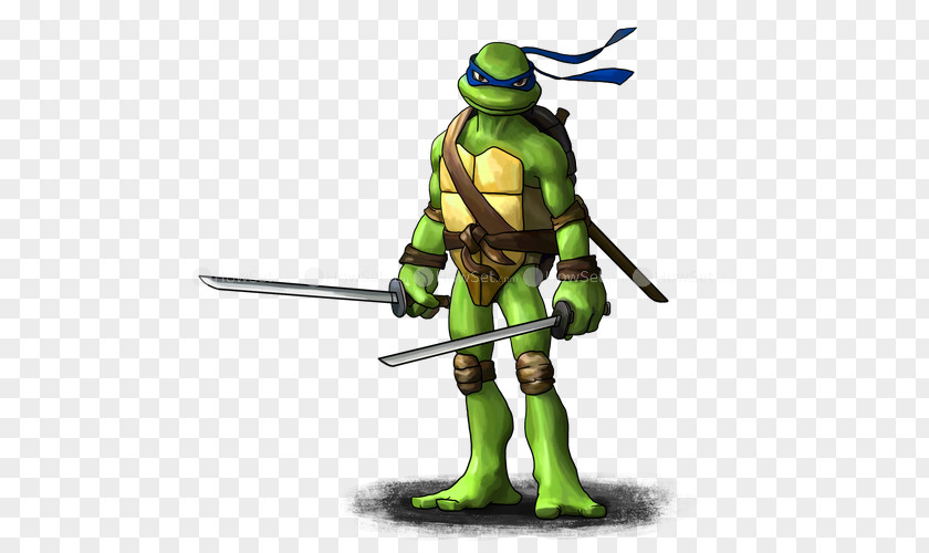 Turtle Leonardo Michaelangelo Raphael Donatello PNG