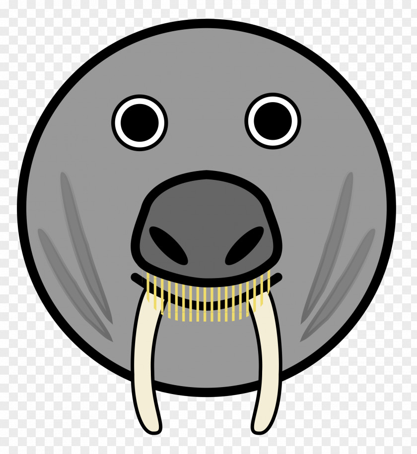 Walrus Pinniped Face Cartoon Clip Art PNG