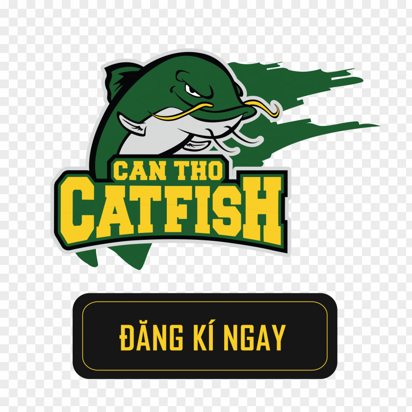 Basketball Cantho Catfish Can Tho 2017 VBA Season Ho Chi Minh City 2016 PNG