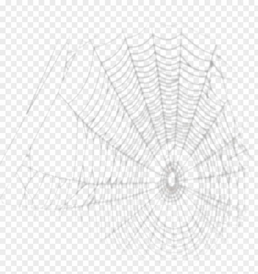 Cartoon Spider Web Painted Material Drawing PNG