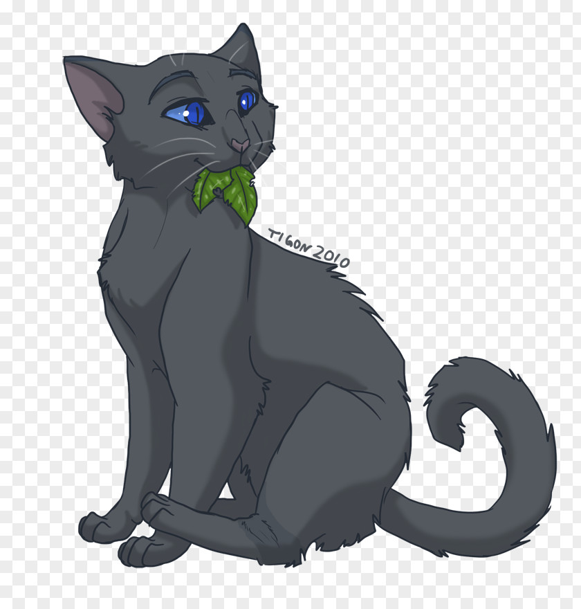 Cat Medicine Warriors Firestar Cinderpelt PNG