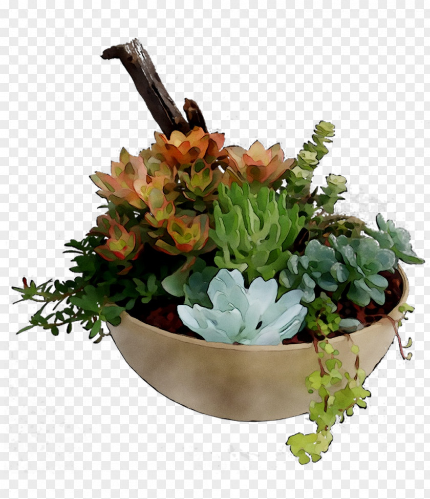 Floral Design Herb PNG