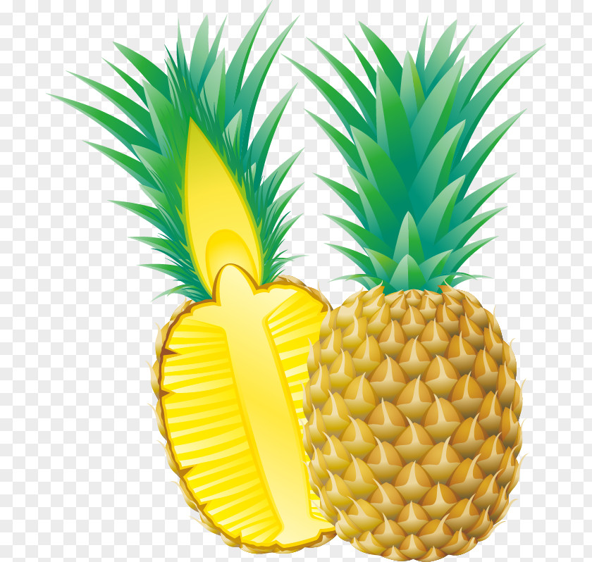 Pineapple Vector Material Animation PNG