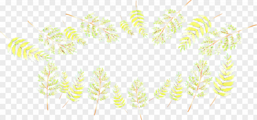 Plant Leaf Green Background PNG