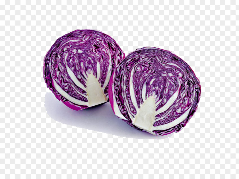 Purple Cabbage Picture Material Vietnam Nu1ed9m Red Vegetable PNG
