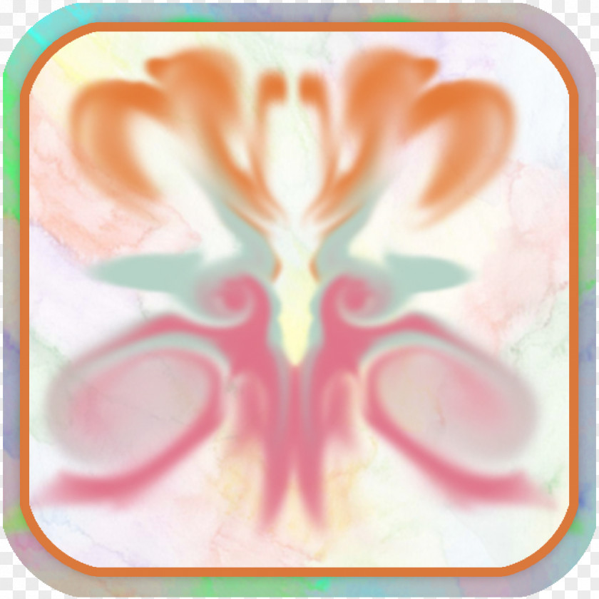 Butterfly Pollinator Petal Nose PNG