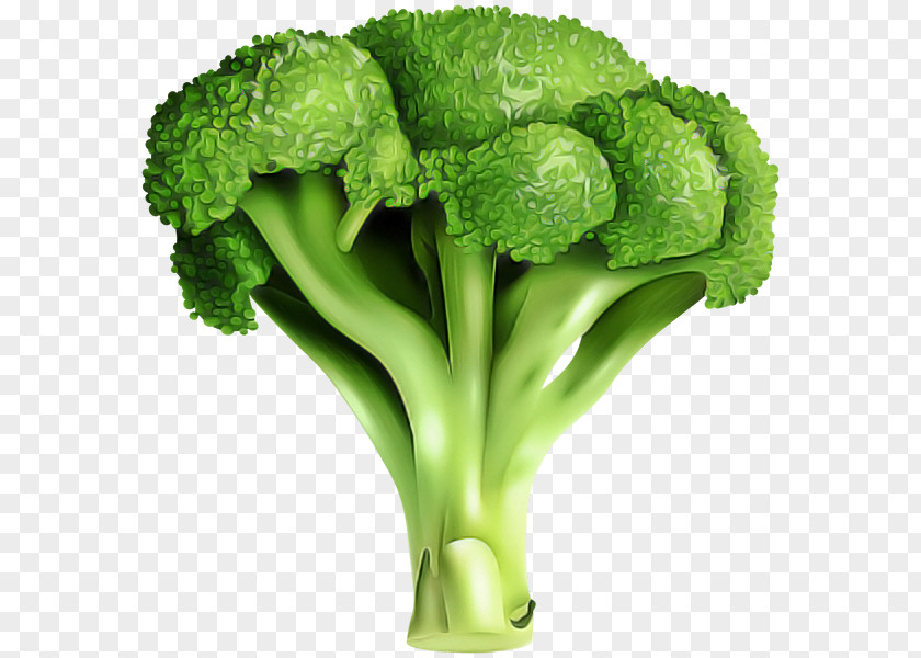 Cauliflower PNG