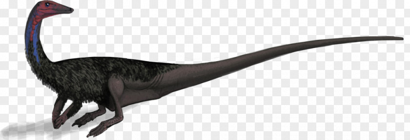 Coelophysis Bone Wars Archosaur Late Triassic PNG