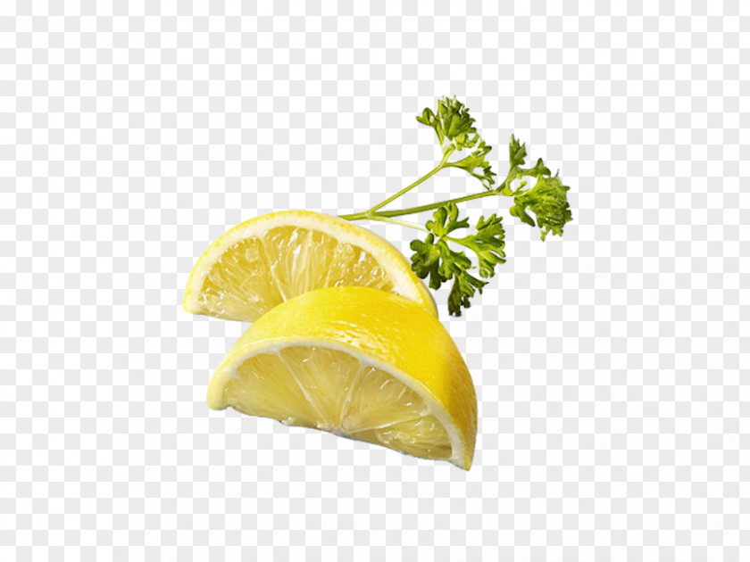 Lemon Lemon-lime Drink Lemonade PNG