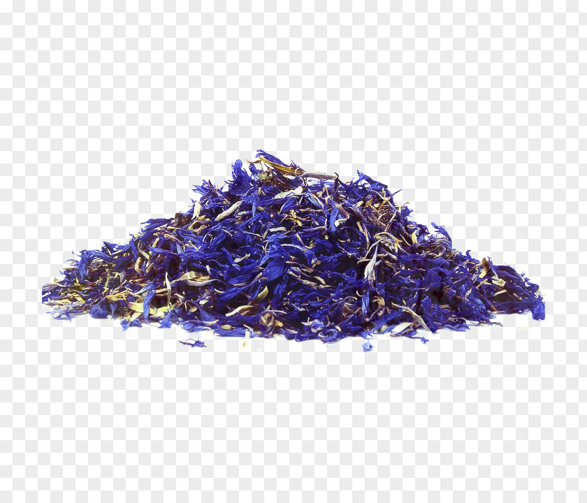 Nilgiri Tea Earl Grey Cobalt Blue Plant PNG