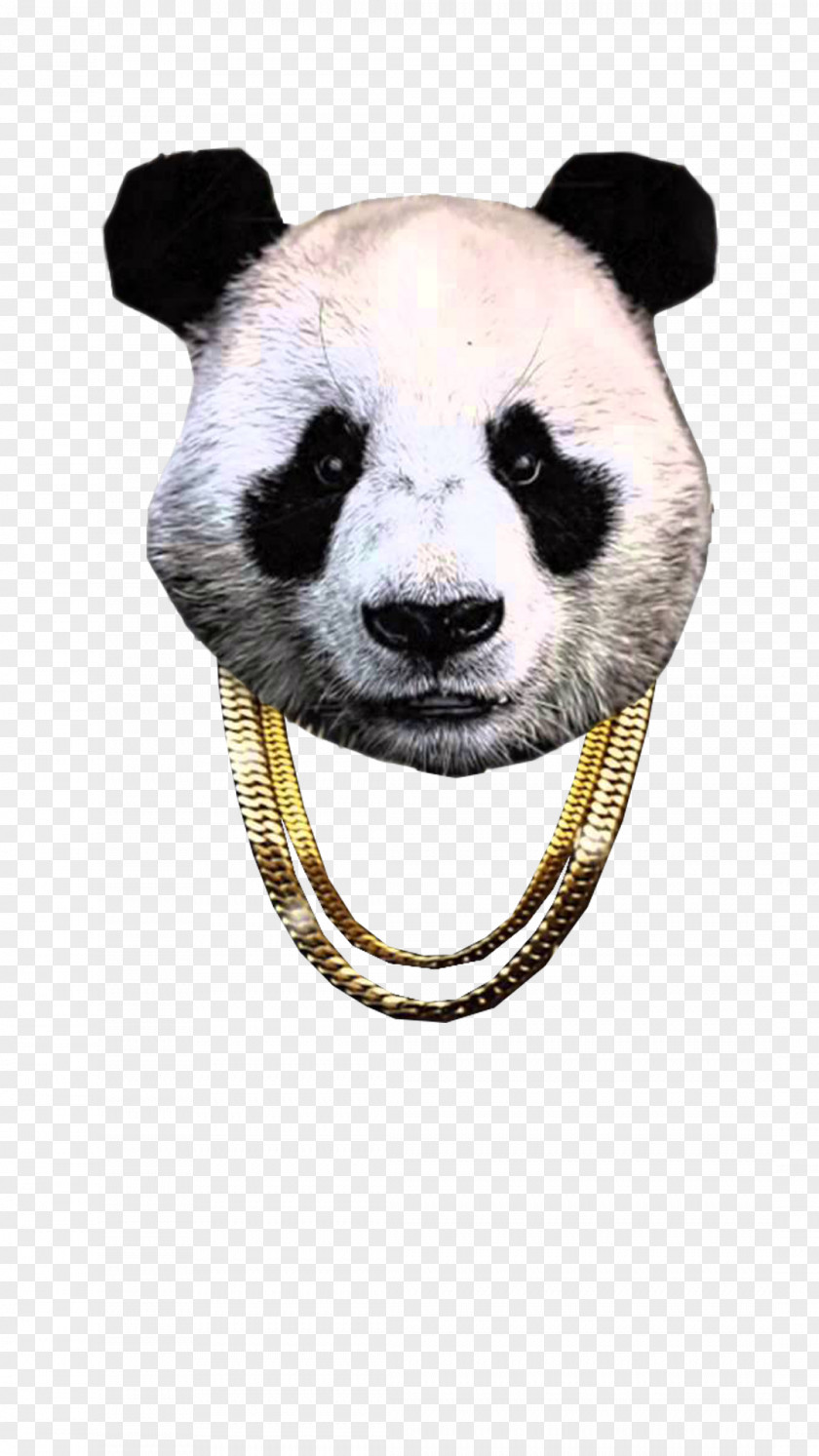 Panda Trap Music SoundCloud Electronic Dance PNG music dance music, panda clipart PNG