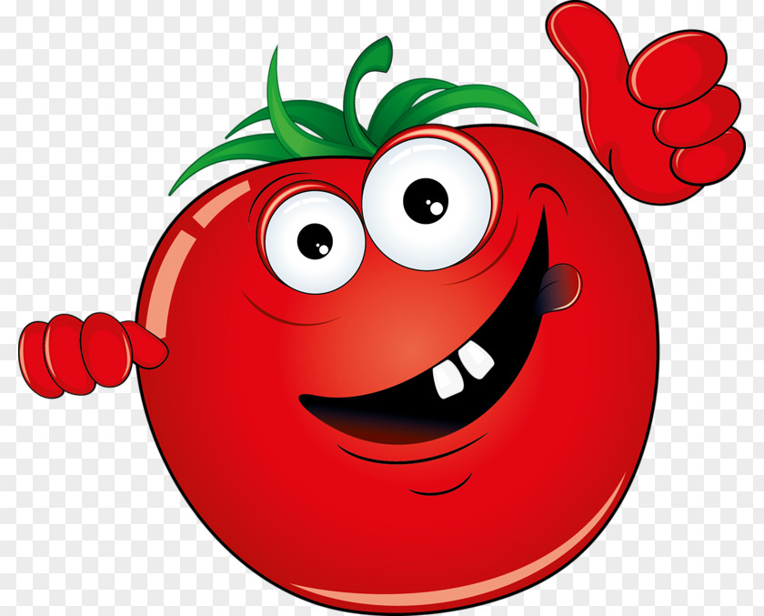 Red Tomatoes Vegetable Cartoon Drawing Illustration PNG