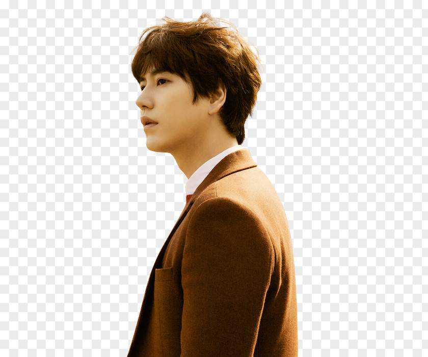 Teaser Cho Kyuhyun Super Junior At Gwanghwamun 7 Years Of Love Kim Kibum PNG