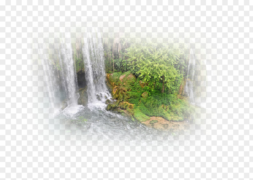 Water Resources Feature Tree PNG