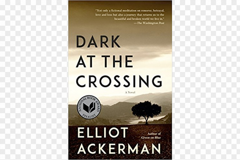 Book Dark At The Crossing Green On Blue: A Novel Istanbul Letters Il Buio Al Crocevia PNG