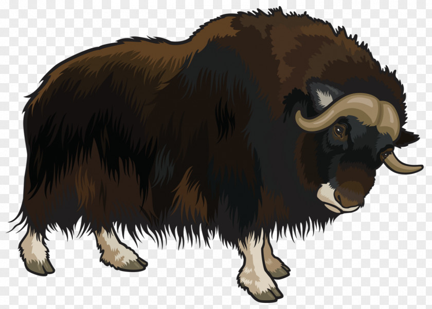 Buffalo Animal Domestic Yak Clip Art PNG