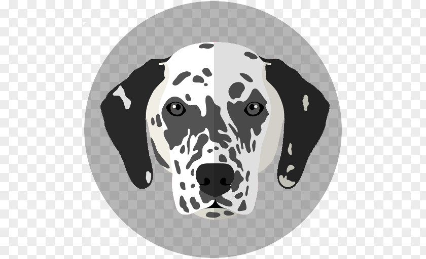 Cat French Bulldog Dachshund Dalmatian Dog Boston Terrier PNG