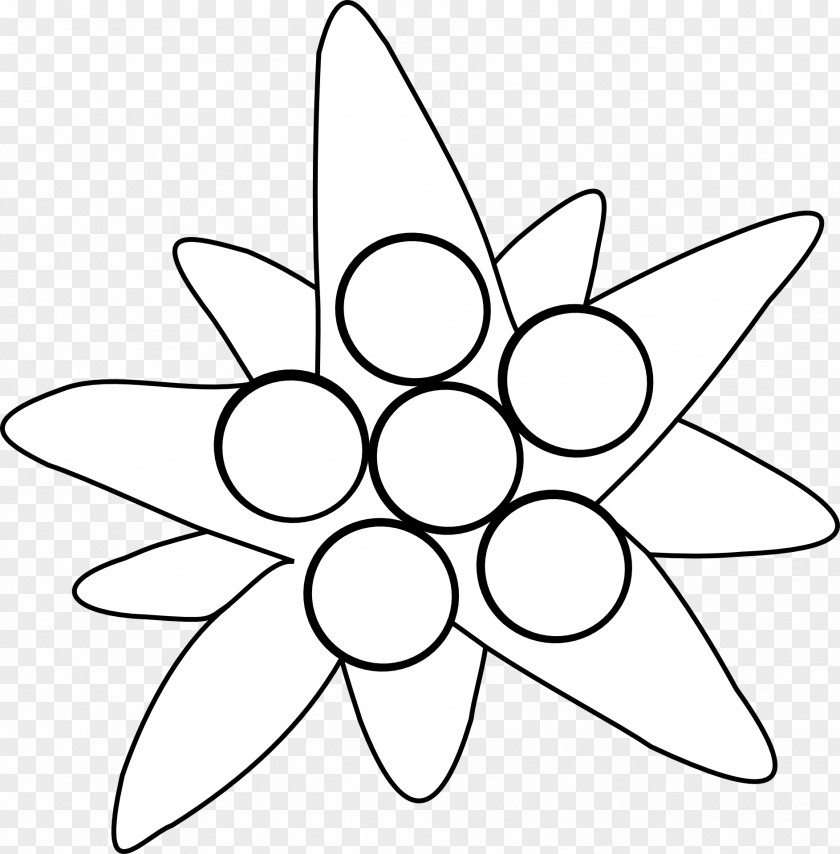 Edelweiss Clip Art Image PNG
