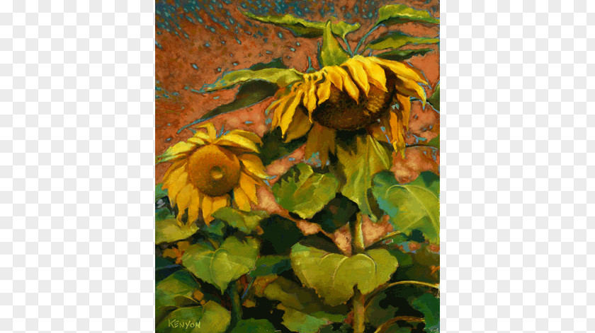 Pastel Flowers Common Sunflower Still Life Painting Art PNG