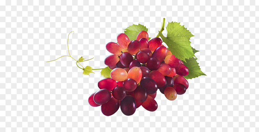 Pinot Meunier Sultana Zante Currant Grape Chardonnay Noir PNG