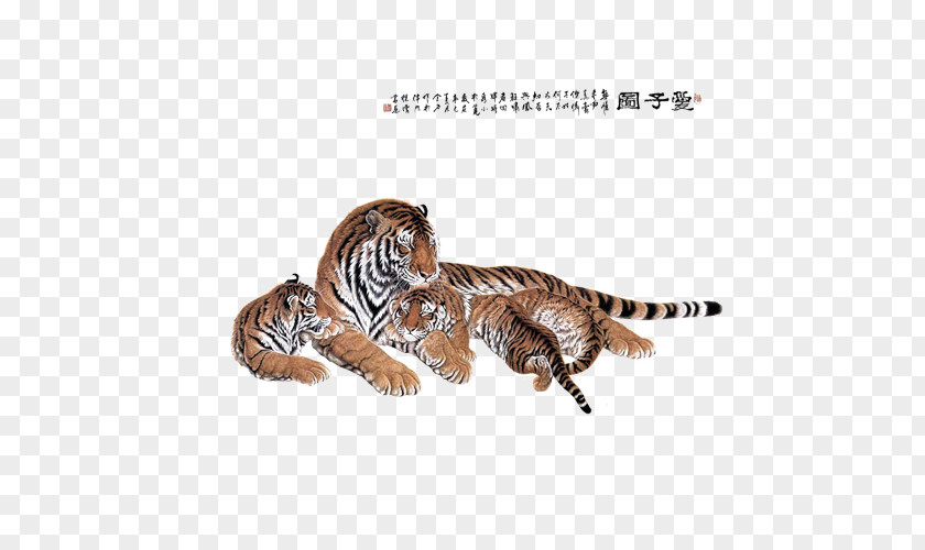 Tiger Painting PNG