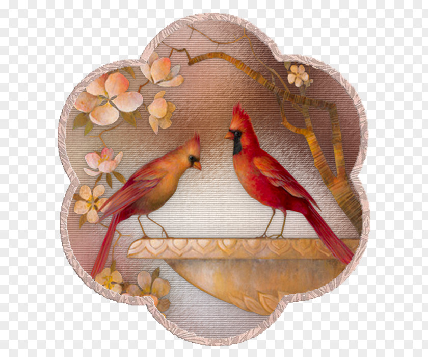 Two Parrots Parrot Bird Embroidery Clip Art PNG