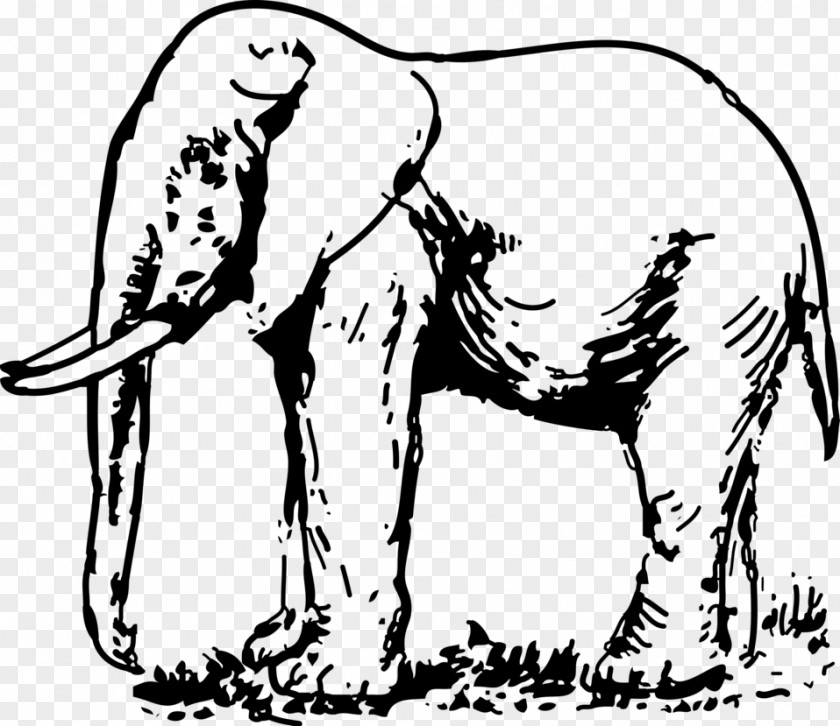 Elephant Black And White Elephantidae Drawing Clip Art PNG