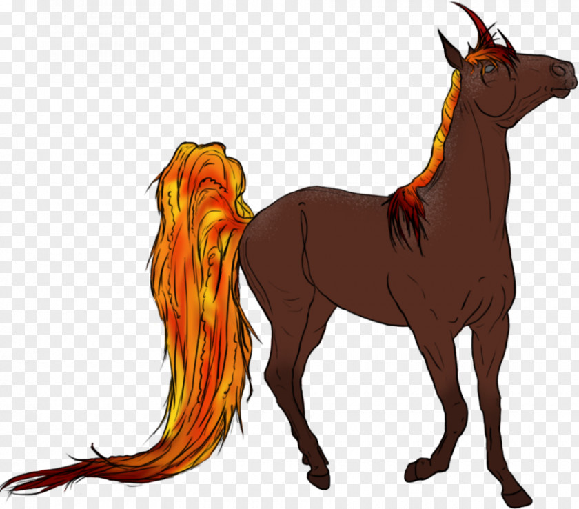 Mustang Foal Mane Stallion Pony PNG