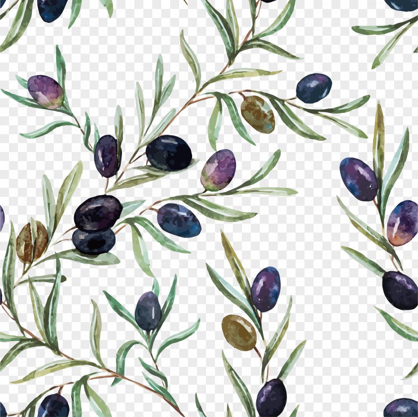 Watercolor Flower Vector Painting Olive Oil Illustration PNG