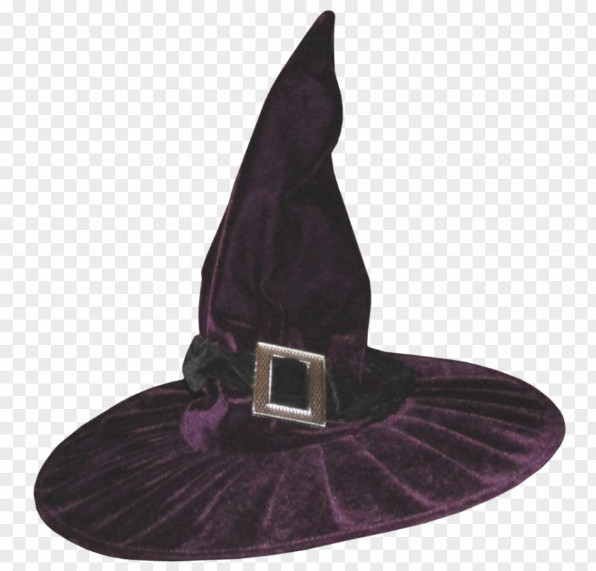 Witch Sorting Hat Harry Potter Hatpin PNG