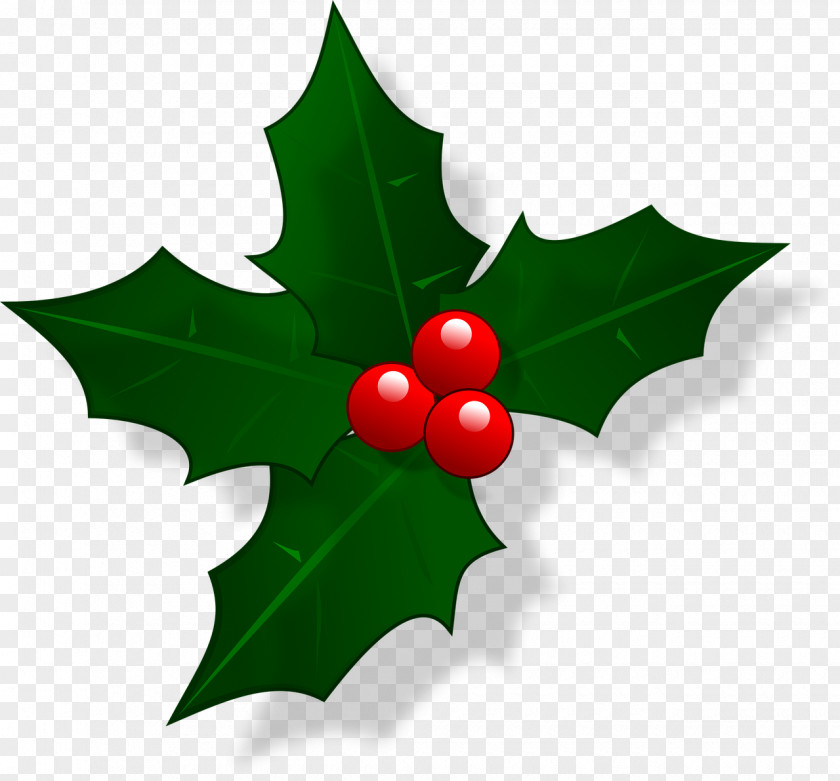 Ilex Aquifolium Christmas Clip Art PNG