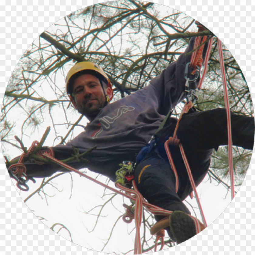 Julien L'Arbonambule Recreation Tree Climbing Rope PNG
