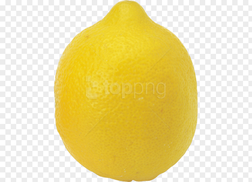 Lemon Image Lemon-lime Drink Rangpur PNG