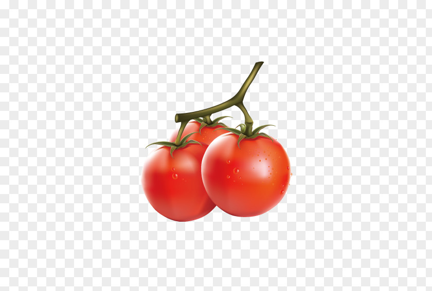 Delicious Tomatoes Cherry Tomato Vegetable Fruit Clip Art PNG