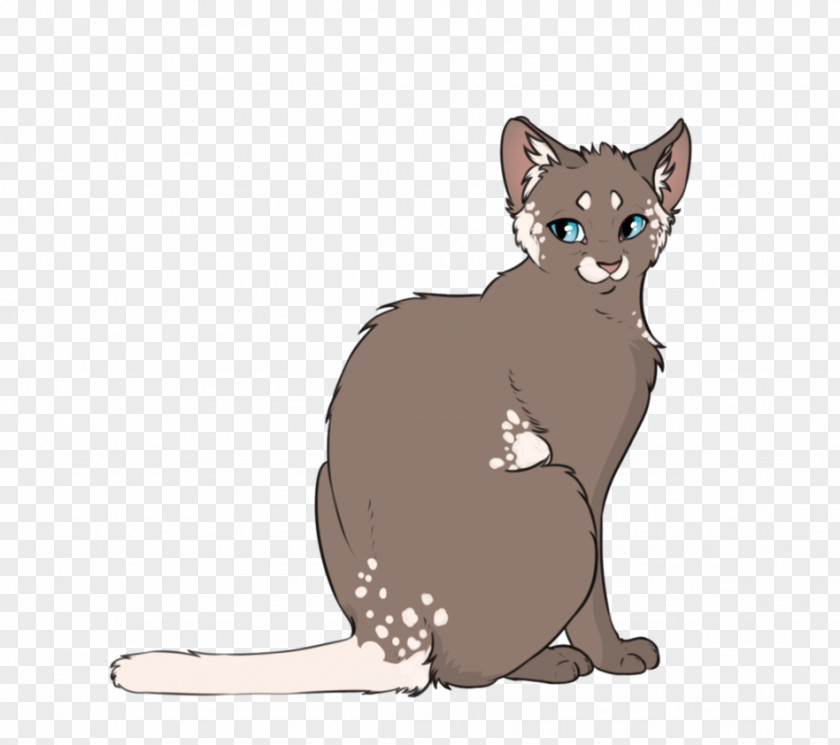Fawn Havana Brown Kitten Animal Mammal Carnivora PNG