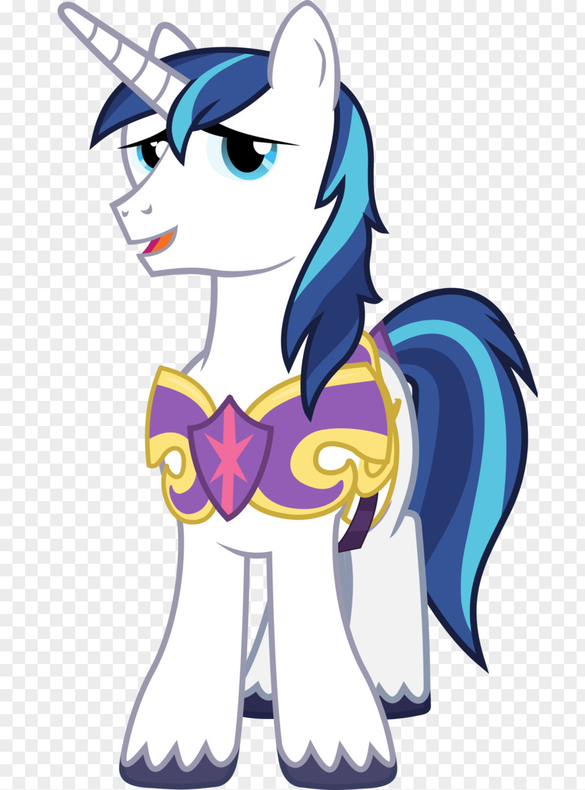 Middle-aged Male Lecturer Princess Cadance Twilight Sparkle Shining Armor Rainbow Dash Pony PNG