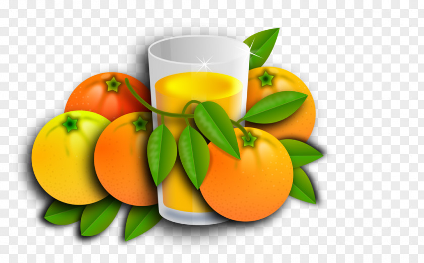 Orange Juice Tangerine Mandarin Vegetarian Cuisine PNG