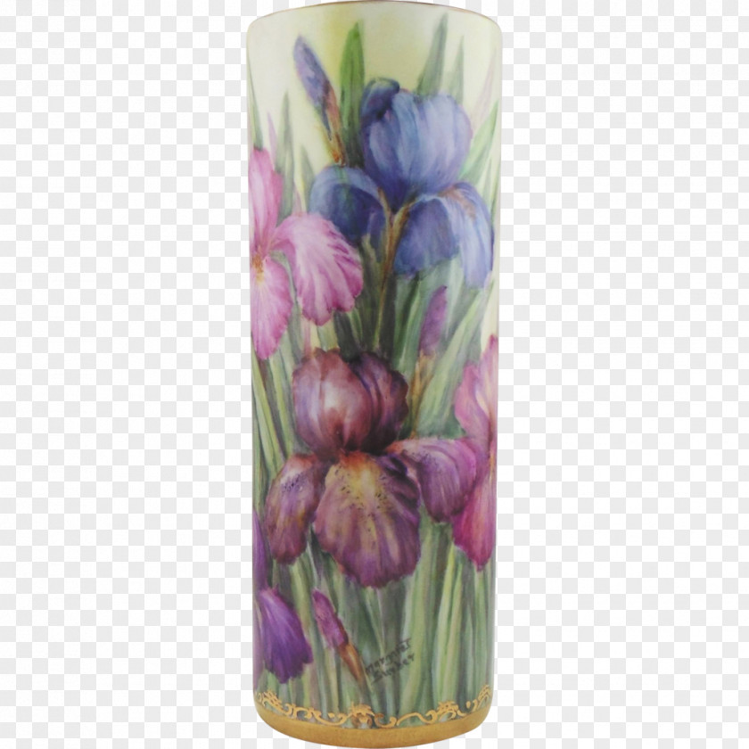 Painting China Irises Floral Design Flower PNG