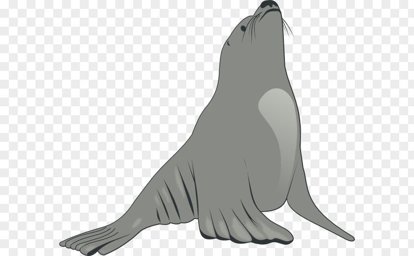 Sea World Cliparts Seals & Lions Clip Art PNG