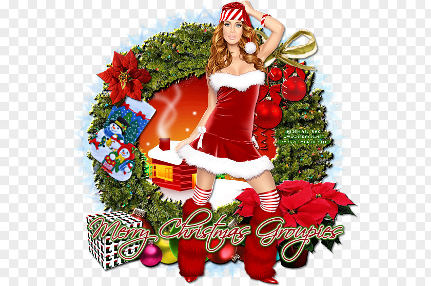Christmas Ornament Computer Character Fiction PNG