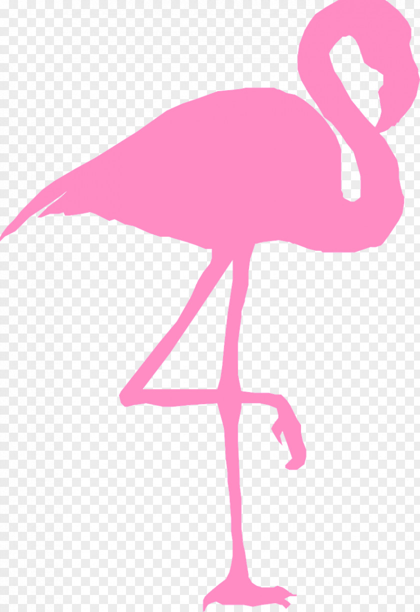Flamingo Drawing Clip Art PNG