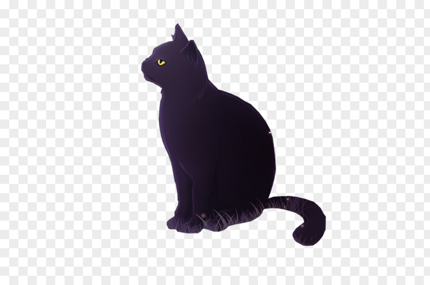 Noble Black Cat Bombay Kitten Whiskers Domestic Short-haired PNG