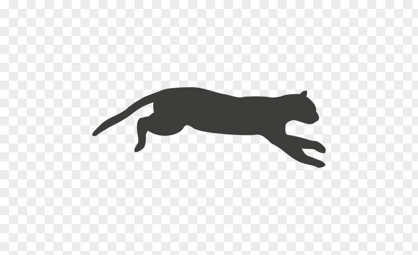 Sequence Vector Cat Animation Artist PNG