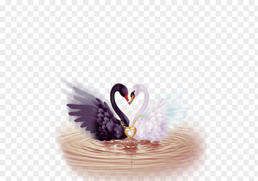 Swan Diamond Embroidery Cross-stitch Rhinestone Paint PNG