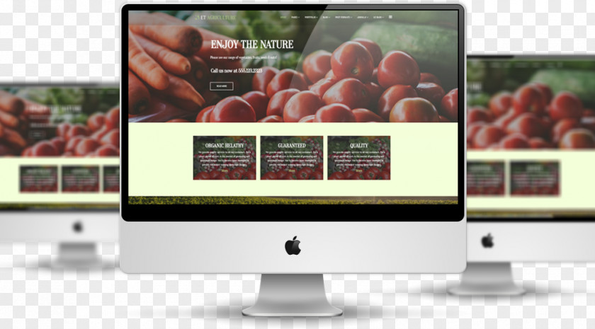 Website Mockup Free Responsive Web Design Template System PNG