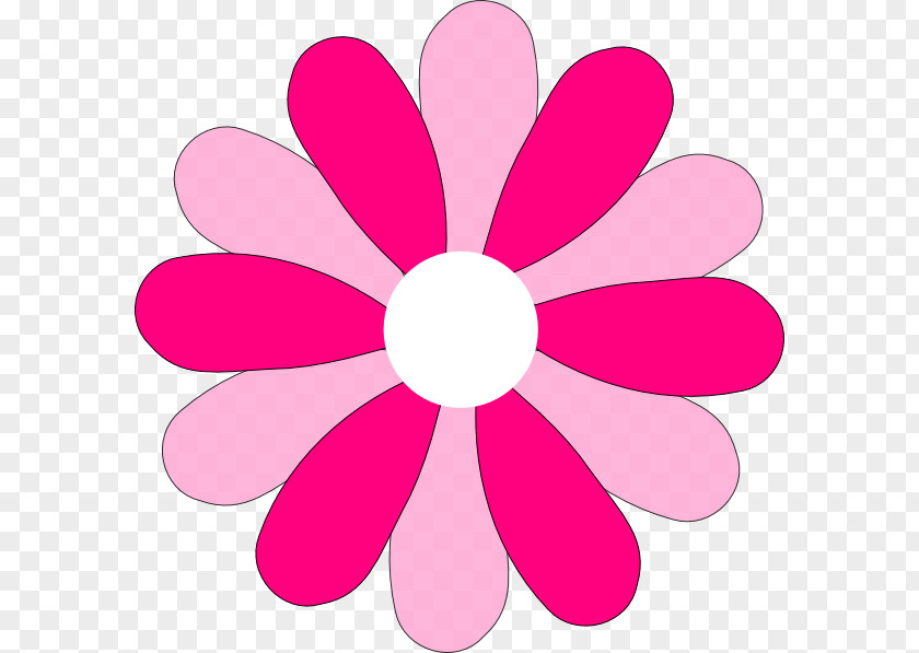 Common Daisy Clip Art PNG