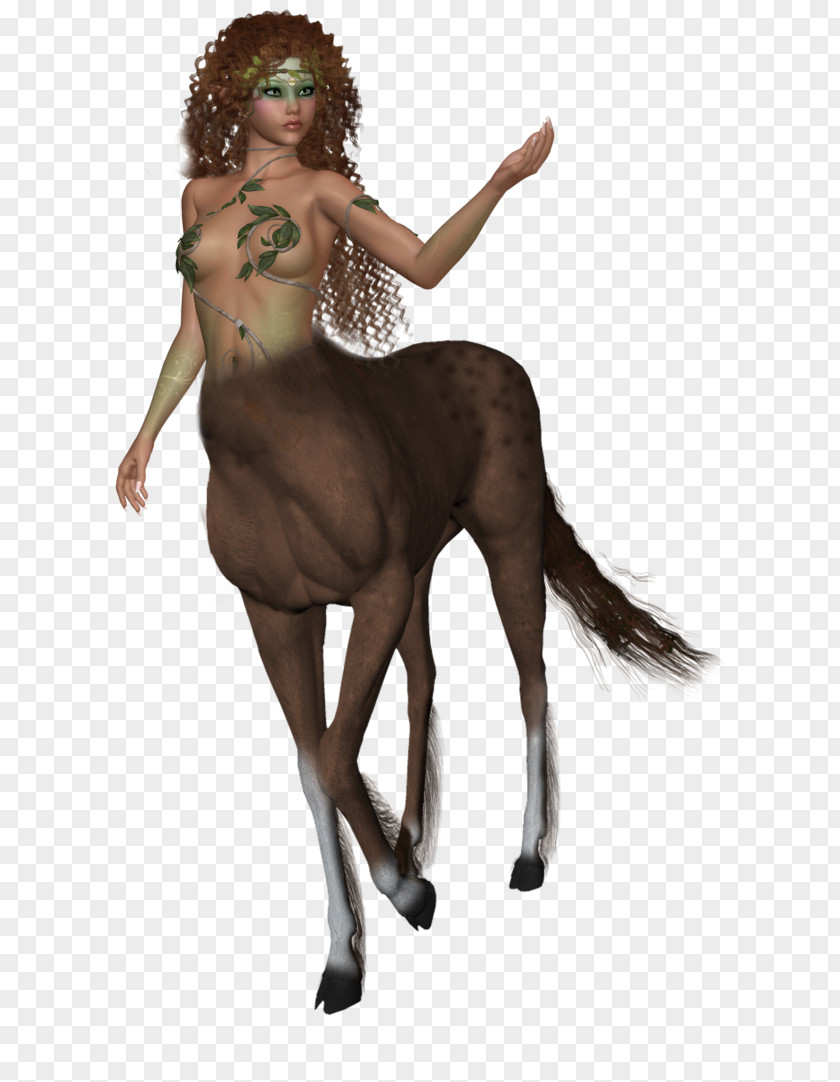 Female Centaur Transparent Images Centaurides Greek Mythology Clip Art PNG