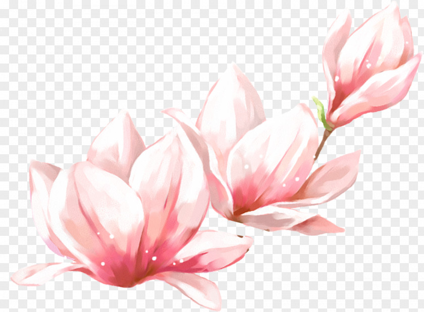 Free Spring Image Vector Graphics Download PNG