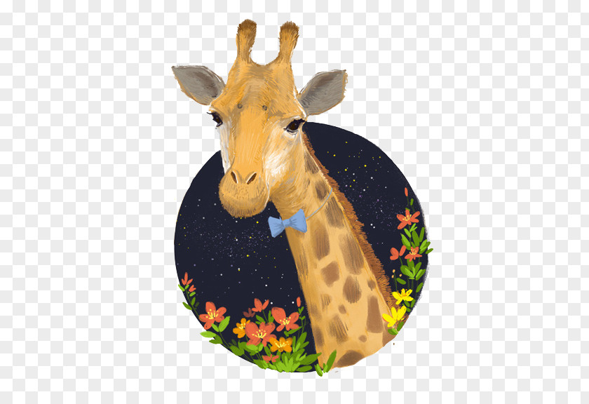 Giraffe Northern Reticulated Drawing Illustration PNG